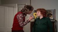 The Partridge Family